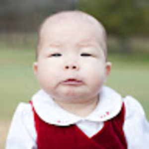 Meet your Posher, Annie